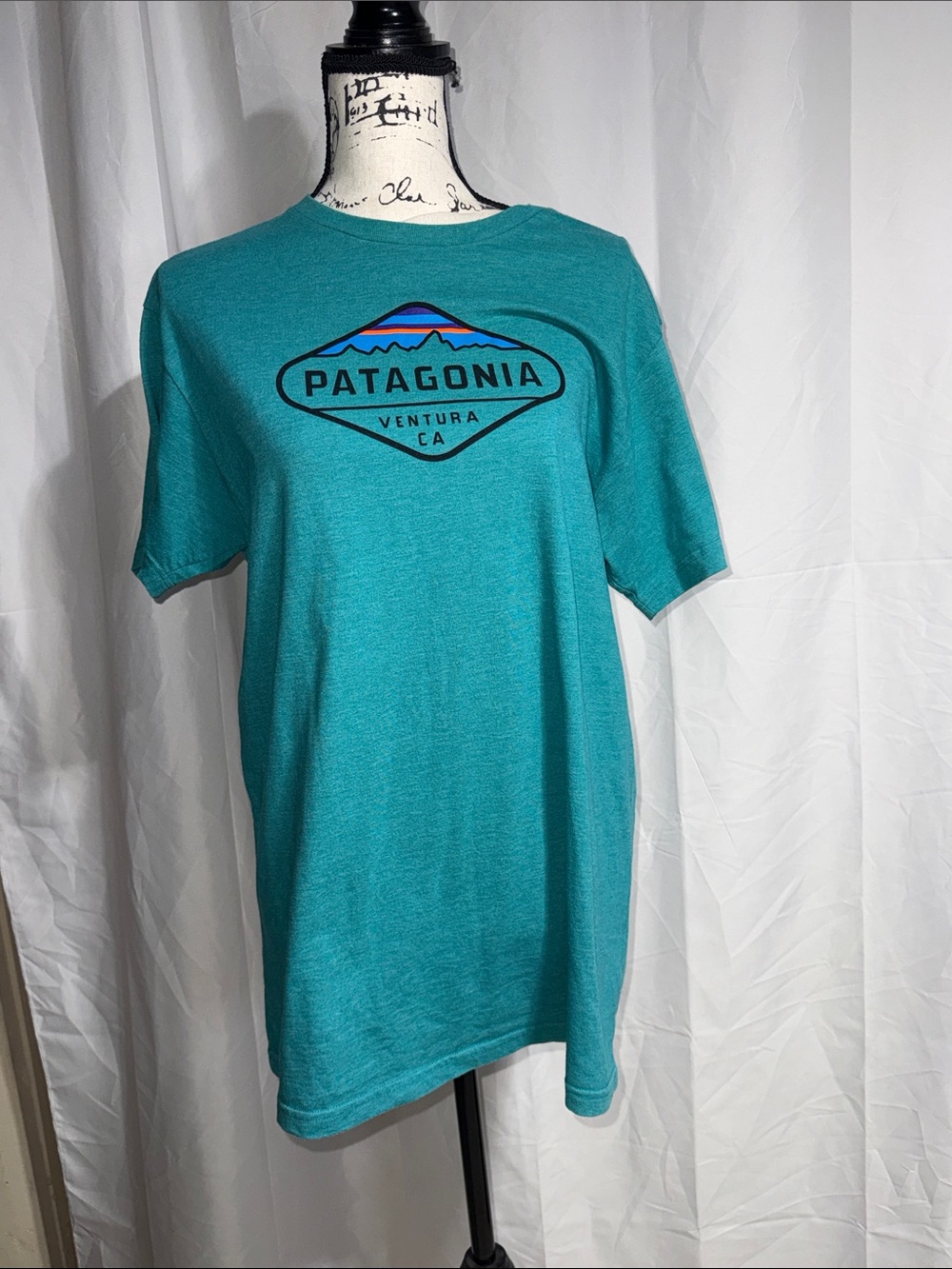 Patagonia Teal Slim Fit Logo Tee